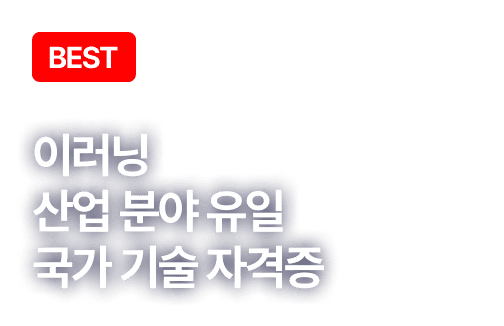 new À¯¸Á ÀÚ°ÝÁõ, ÇÕ°ÝÀÇ ÁÖÀΰø